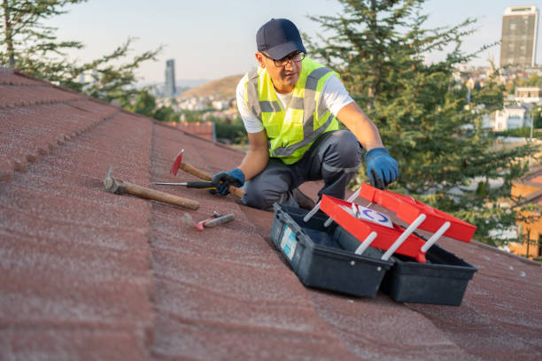 Best Yard Waste Removal  in Paisley, FL